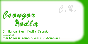 csongor modla business card